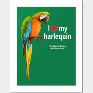 CB Harlequin Macaw Posters and Art